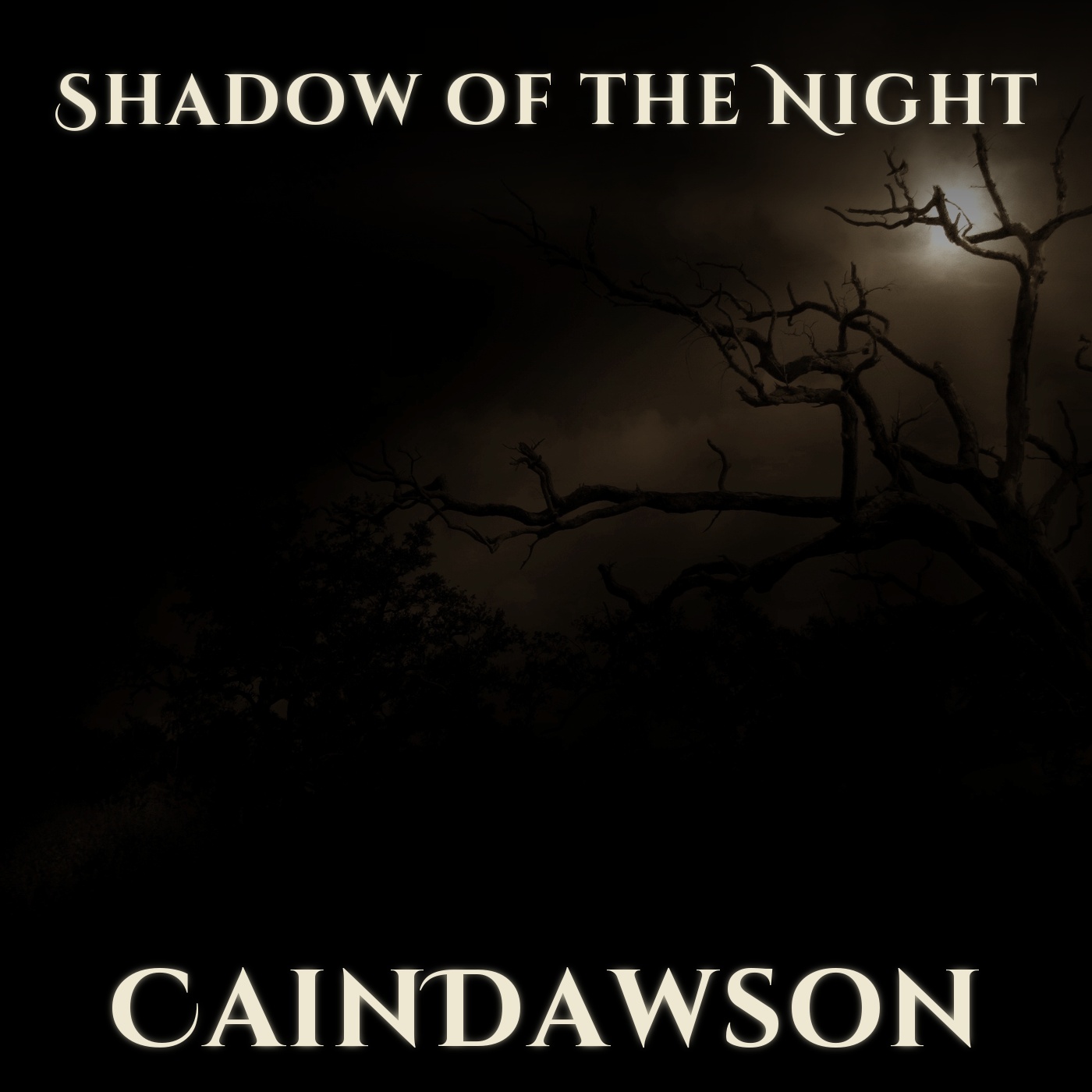 Shadow of the Night